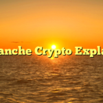 Avalanche Crypto Explained