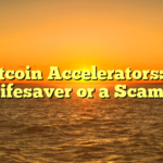 Bitcoin Accelerators: A Lifesaver or a Scam?