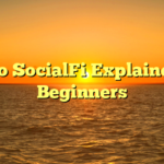 Crypto SocialFi Explained For Beginners