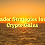 Pro Trader Strategies for Daily Crypto Gains