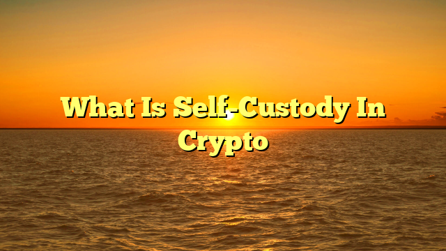 What Is Self-Custody In Crypto