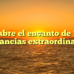 Descubre el encanto de 1Win: Ganancias extraordinarias